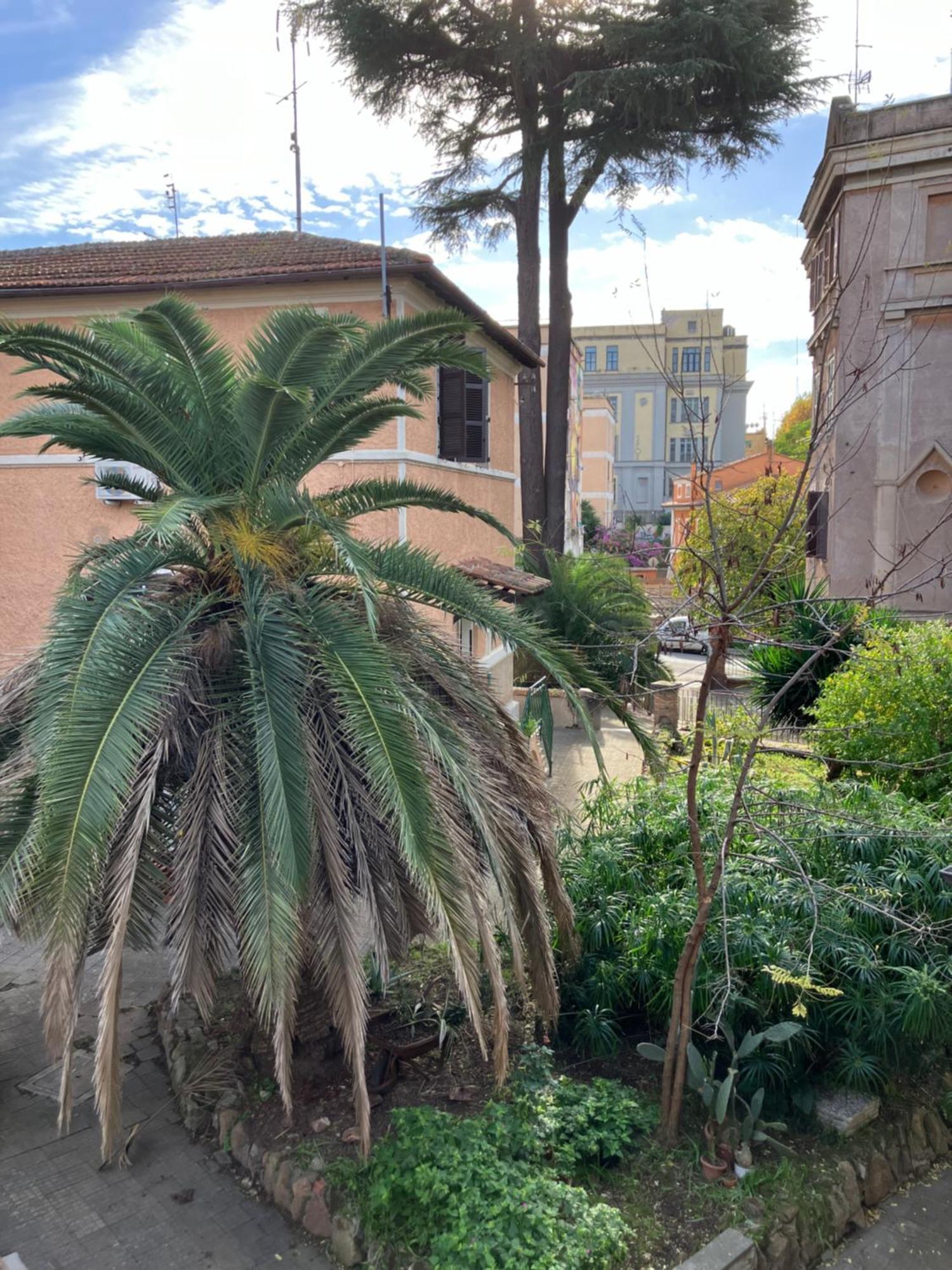 A Casa Di Alfredo Appartement Rome